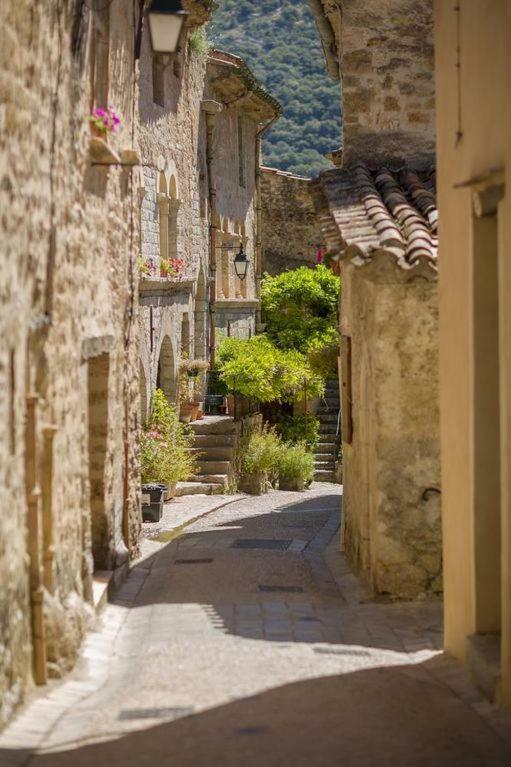 Charmante Maison A Saint Guilhem Le Desert المظهر الخارجي الصورة